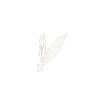 All Natural Illustration